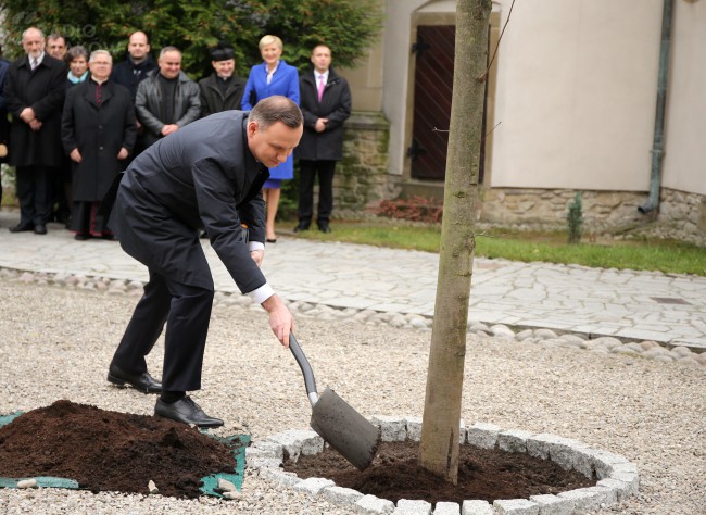 Prezydent Andrzej Duda zasadził lipę Świętej Kingi na dziedzińcu klasztoru Sióstr Klarysek w Starym Sączu PAP/Grzegorz Momot