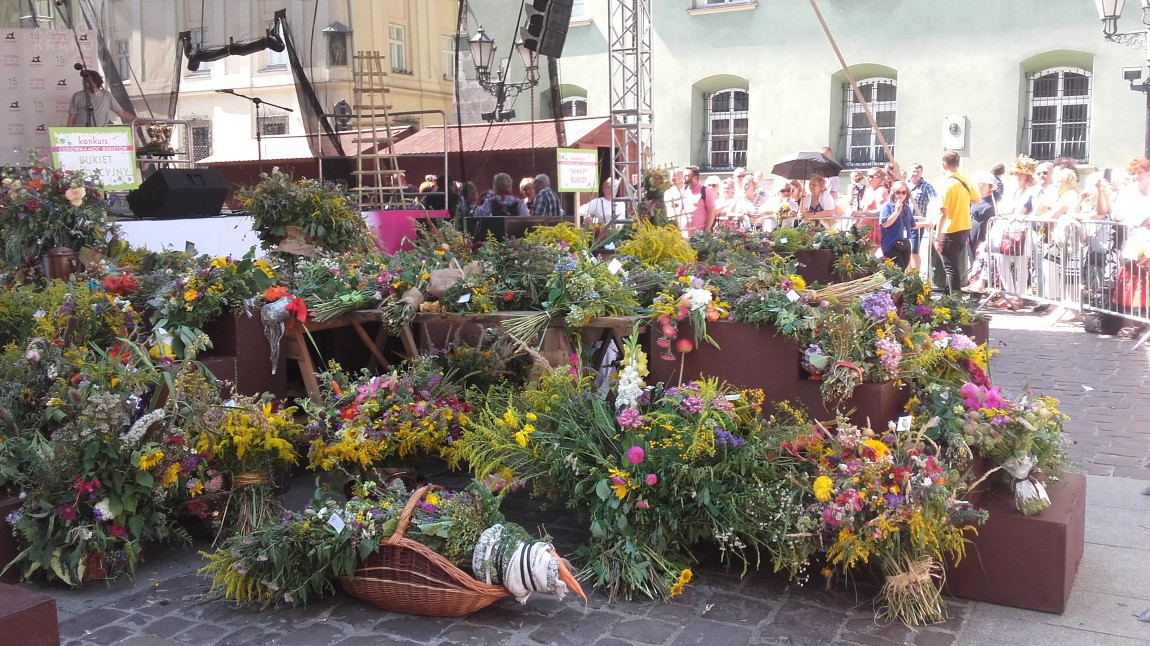 fot: Joanna Orszulak