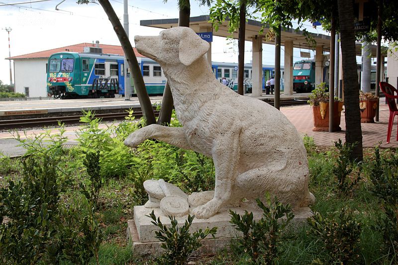 Pomnik psa Lampo na stacji Campiglia Marittima. Fot. LepoRello/wikipedia