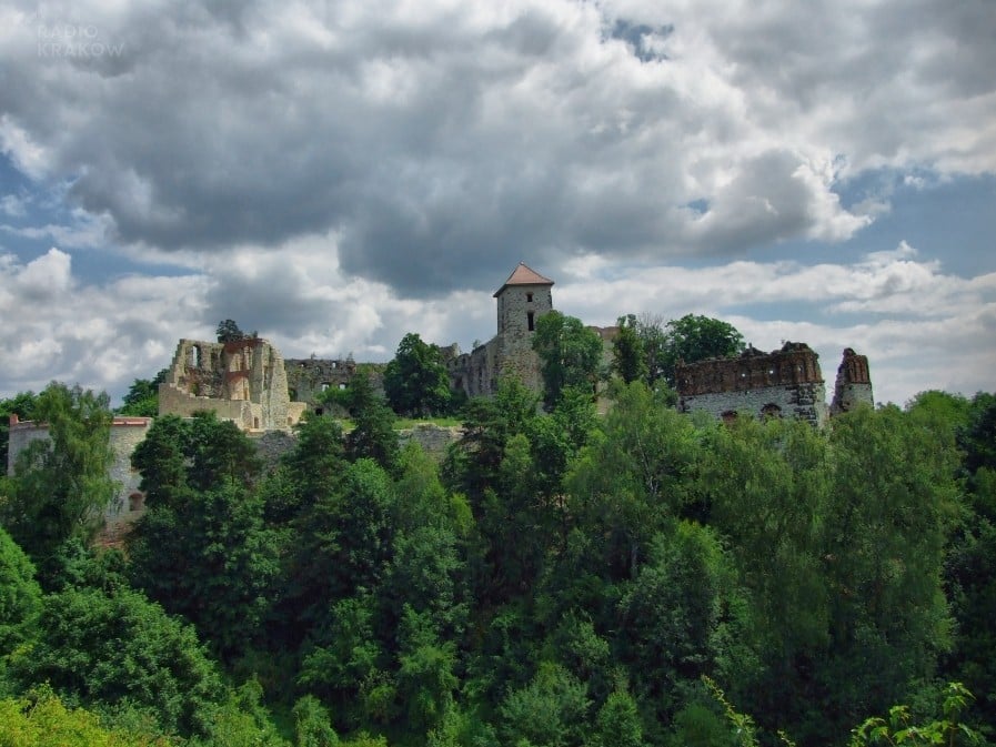 Rudno, ruiny zamku Tenczyn - fot. Marek Wojciechowski