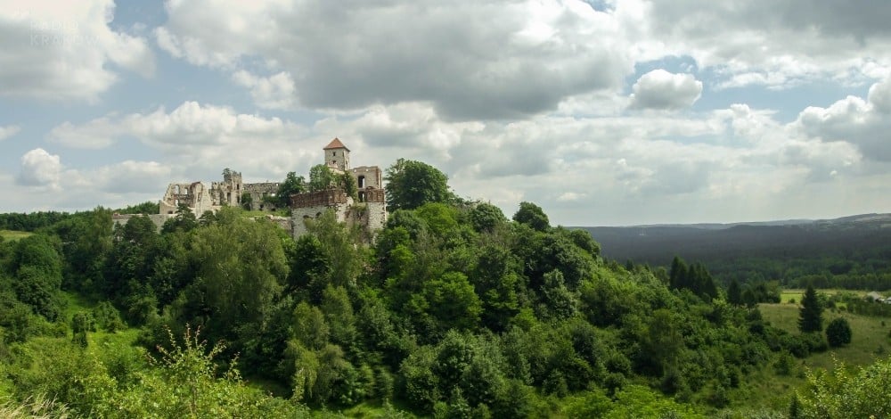 Ruiny zamku w Rudnie. Fot. Marek Wojciechowski/www.zdjeciakrzeszowice.pl