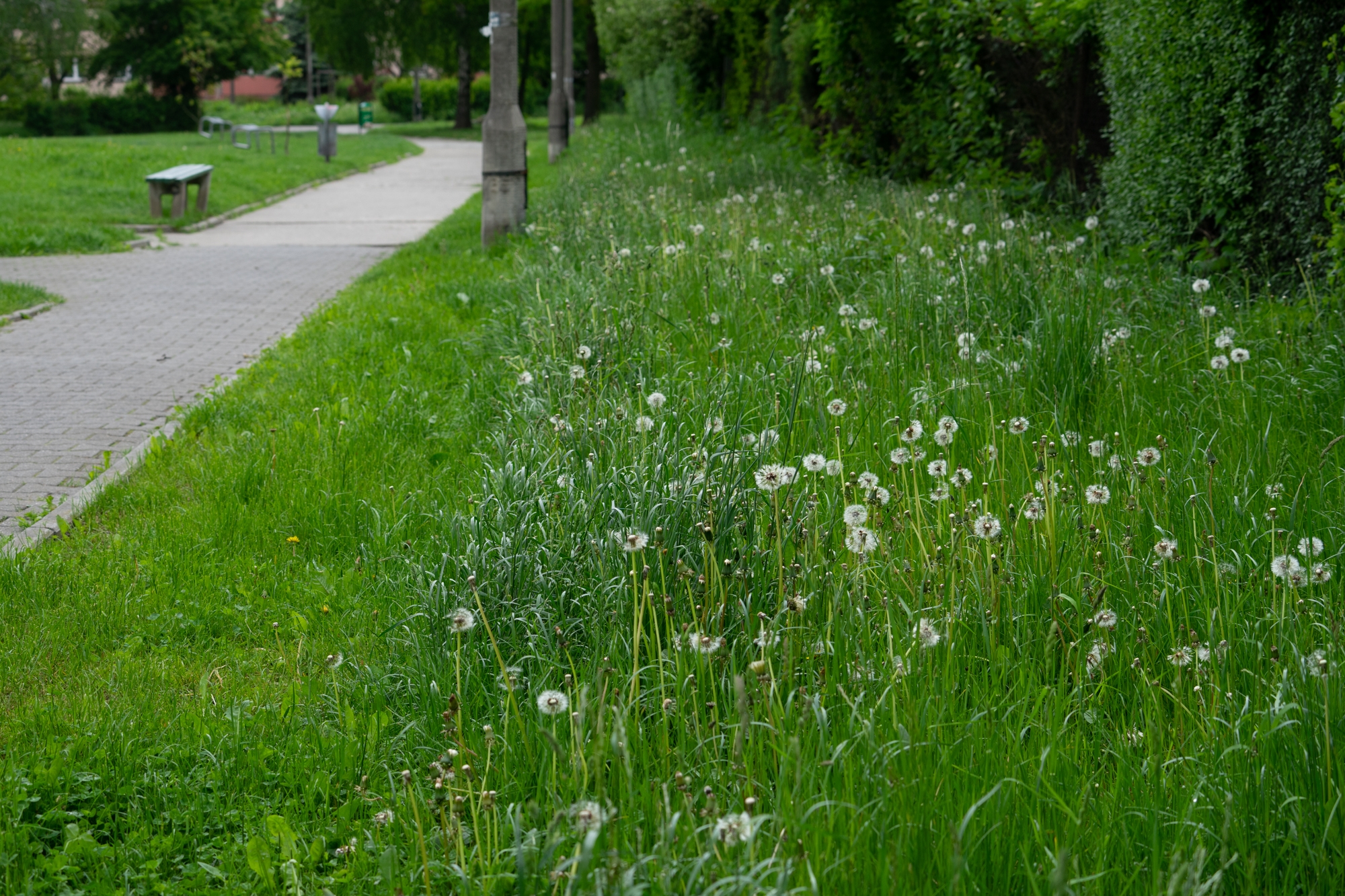 fot. A. Pępkowska-Król