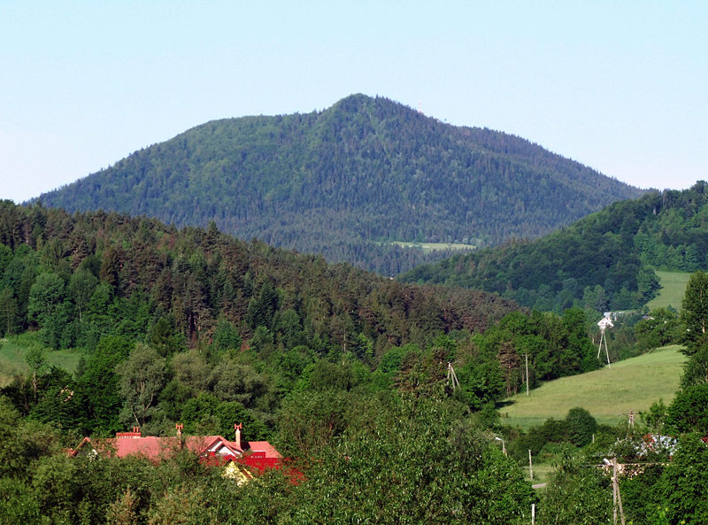 Luboń Wielki ( fot. Jerzy Opioła/Wikipedia)