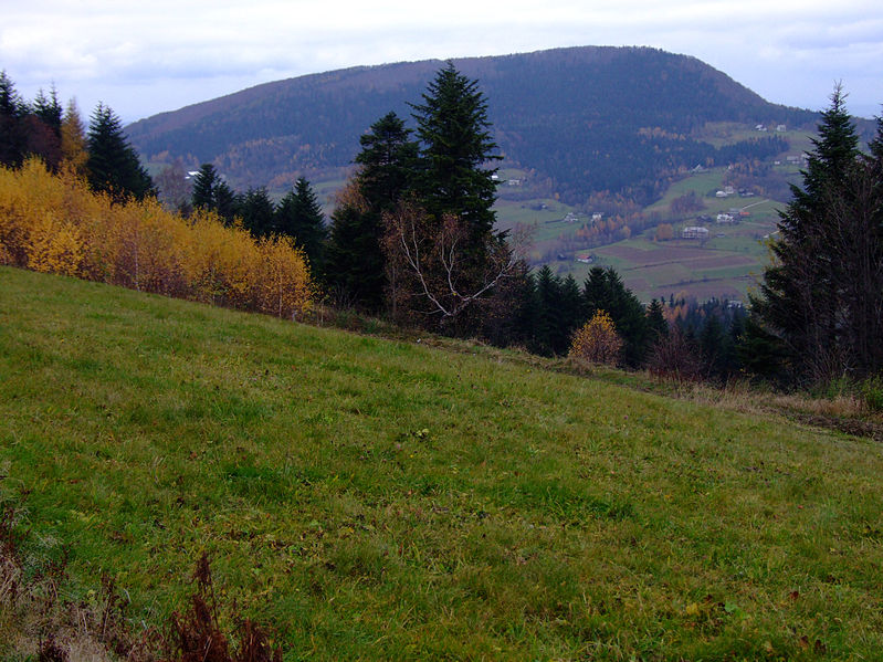 (fot.Jerzy Opioła/Wkipedia)