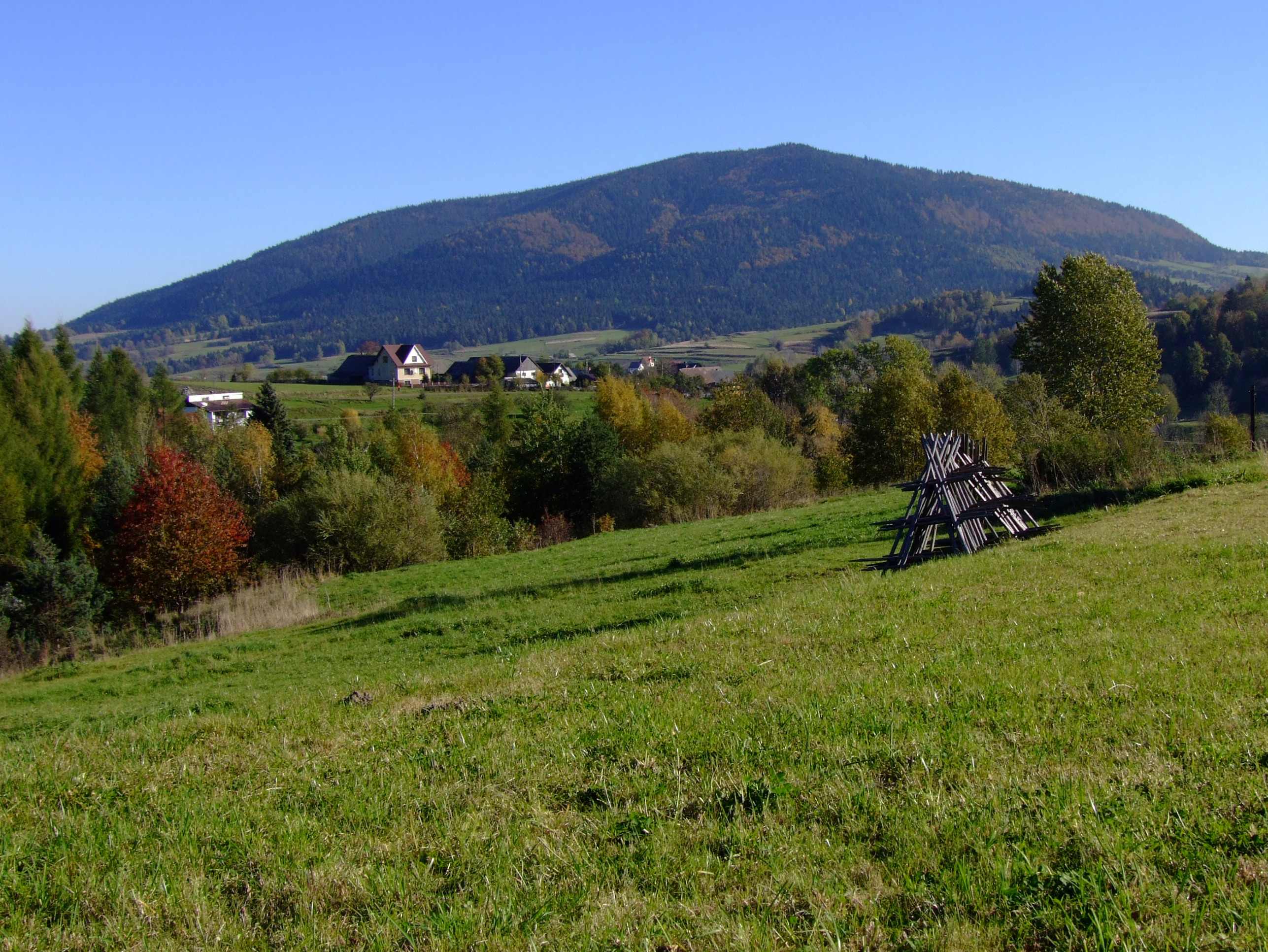 ( fot. Jerzy Opioła/Wikiepdia)