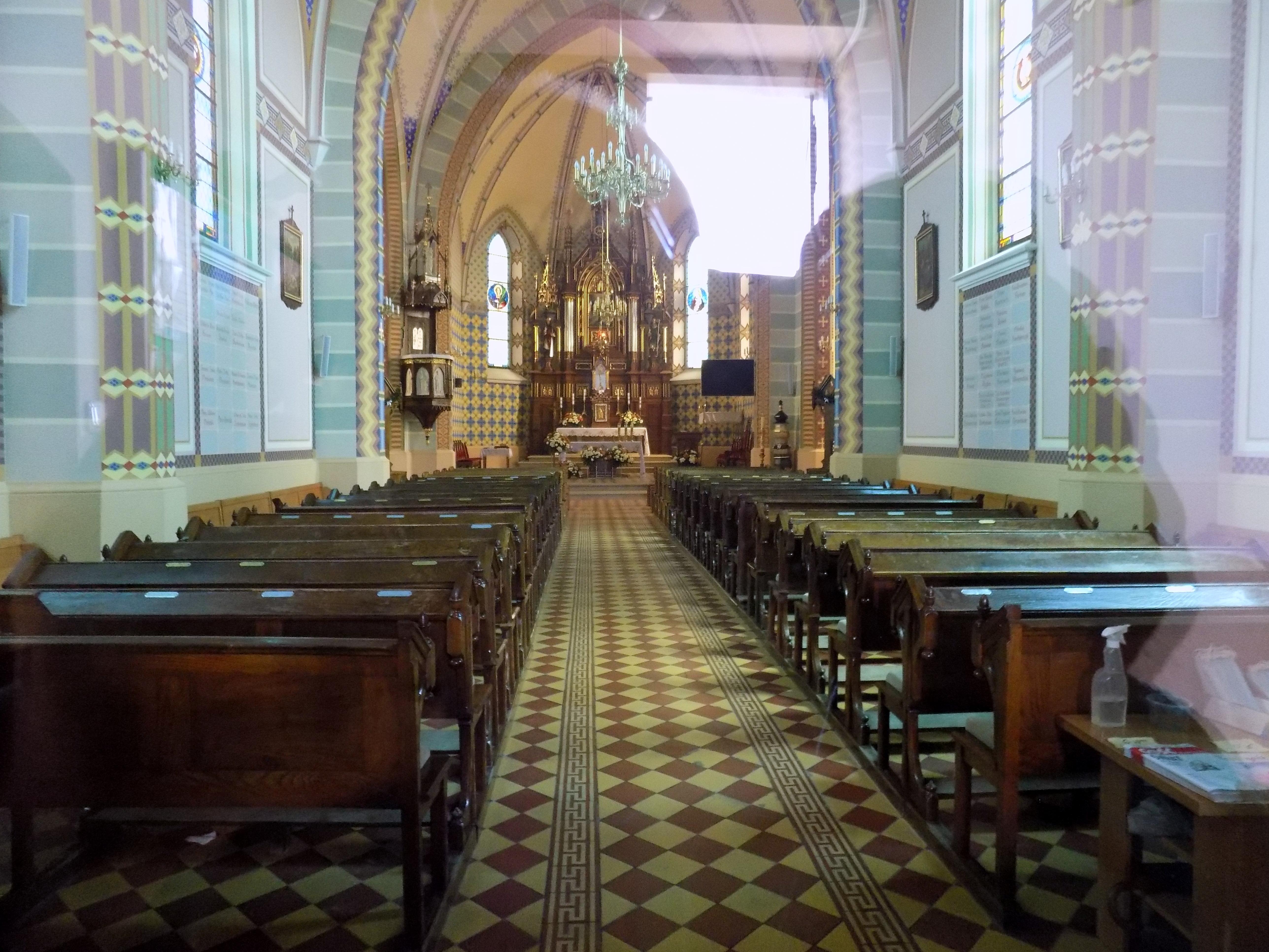 ( fot. Andrzej Piecuch)