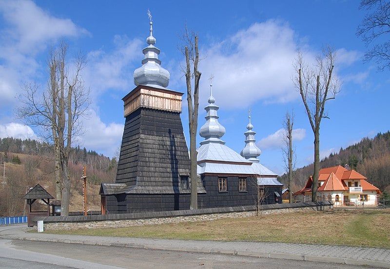 Łosie ( fot.Henryk Bielamowicz)