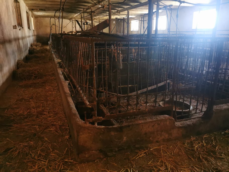 Fot. Agnieszka Wrońska-Bęben