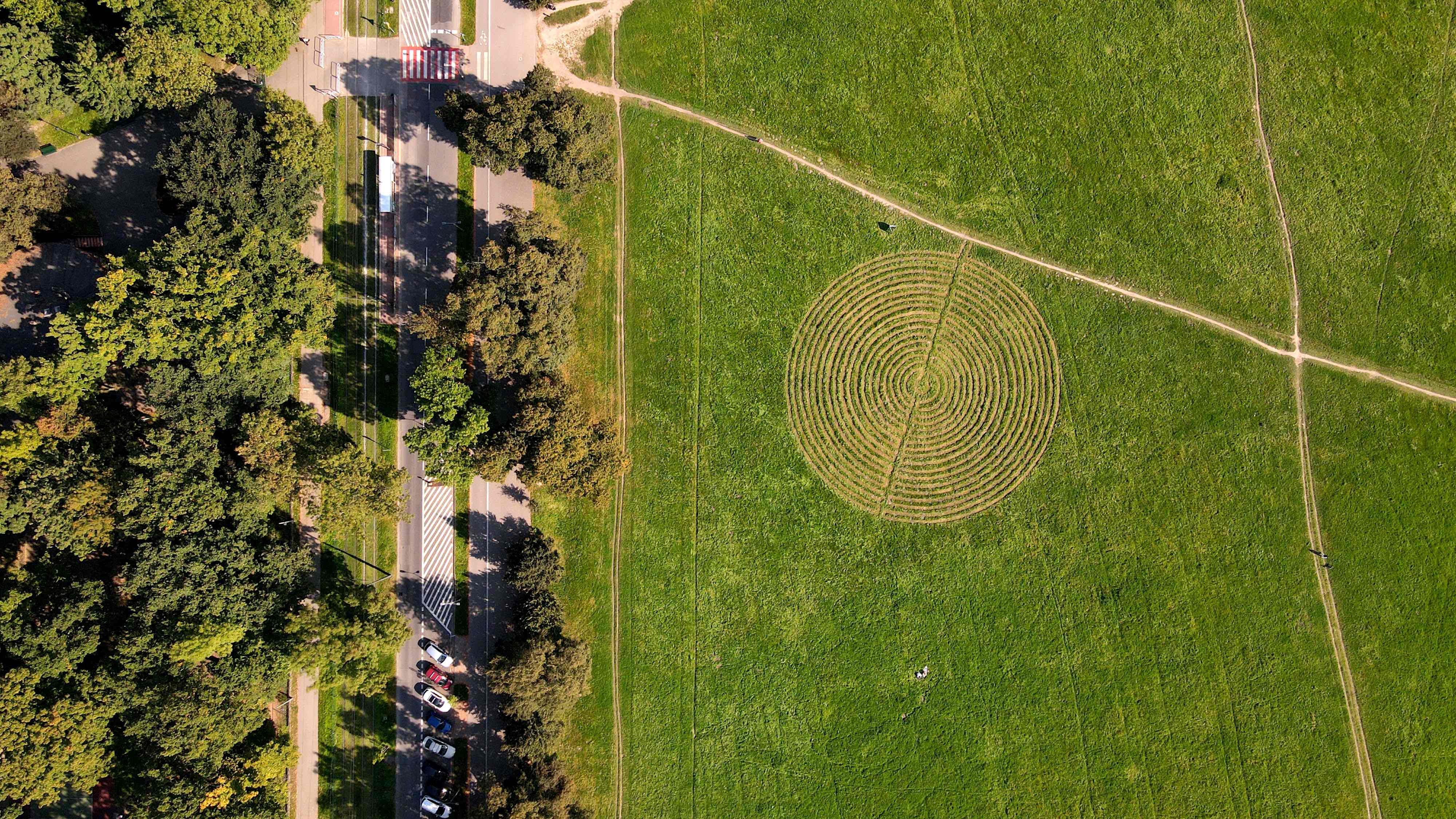Fot. dzięki uprzejmości MIK