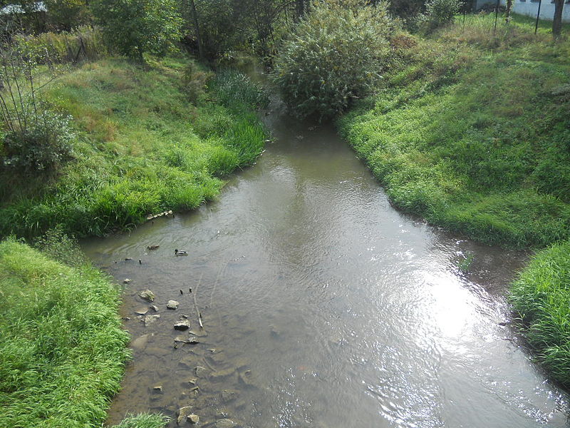 Rzeka Dłubnia ( fot. Mach 240390/Wikipedia