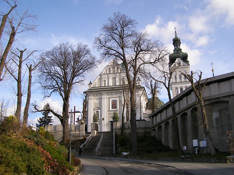 Bazylika Nawiedzenie Najświętszej Marii Panny ( fot. Andrzej Otrębski/Wikipedia)