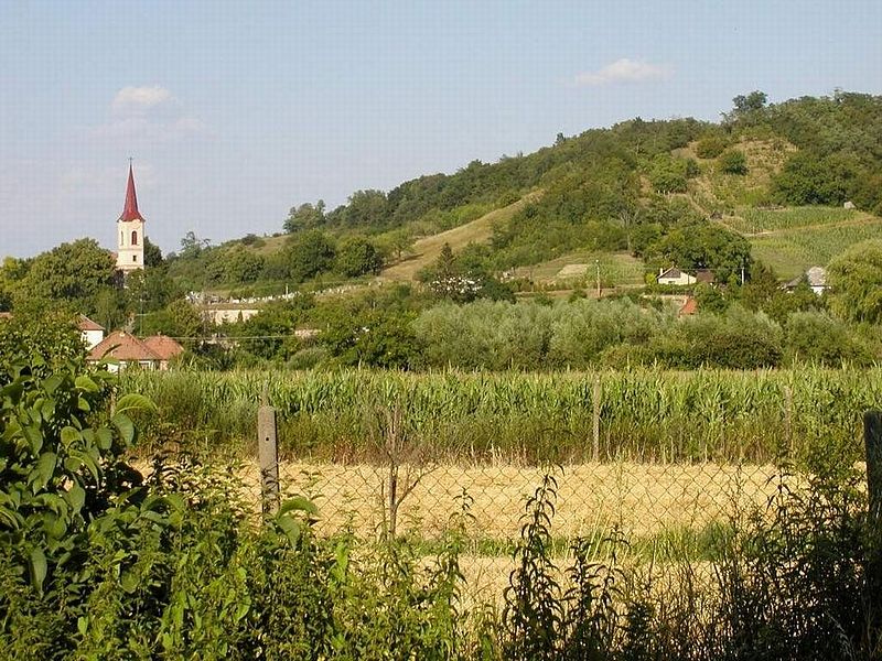 Dubnik, Słowacja ( fot. Kenomis/Wikipedia)