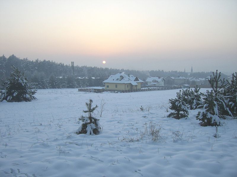 Zimowa Okleśna ( fot. Messer Woland/Wikipedia)