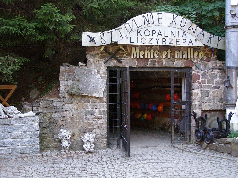 ( fot. Andrzej Otrębski/Wikipedia)