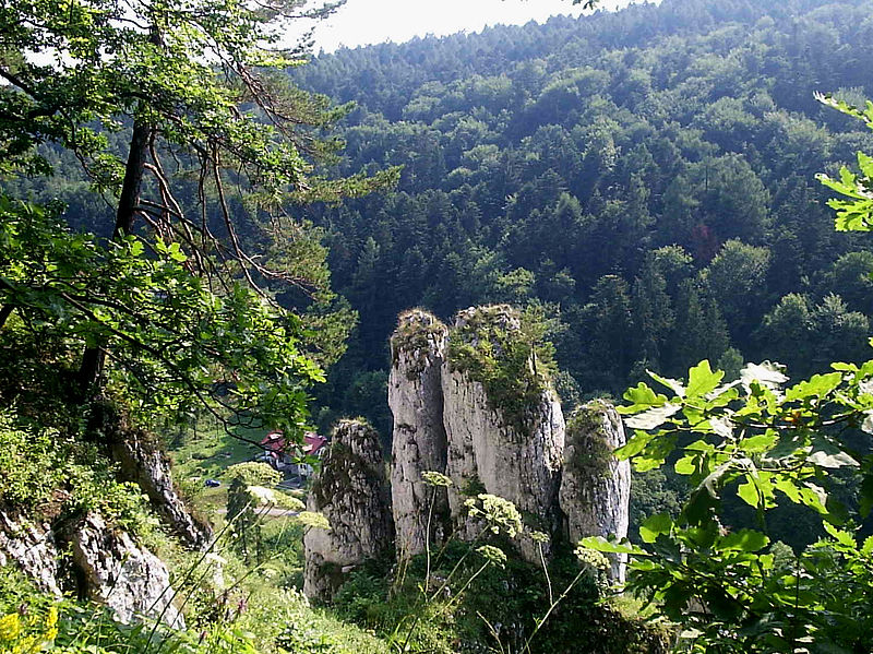 Ojcowski Park Narodowy Skała 