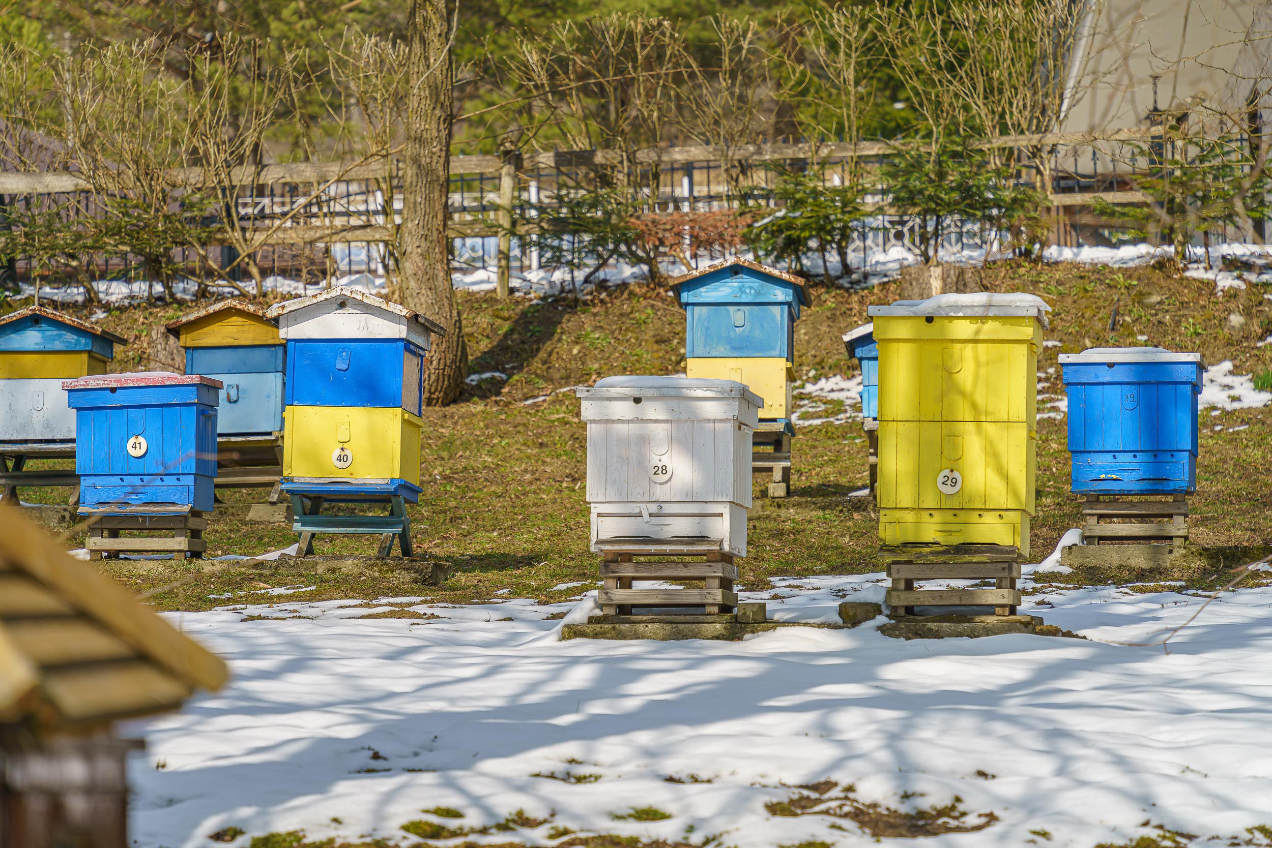 Pasieka Barć w Kamiannej / Fot. Damian Radziak