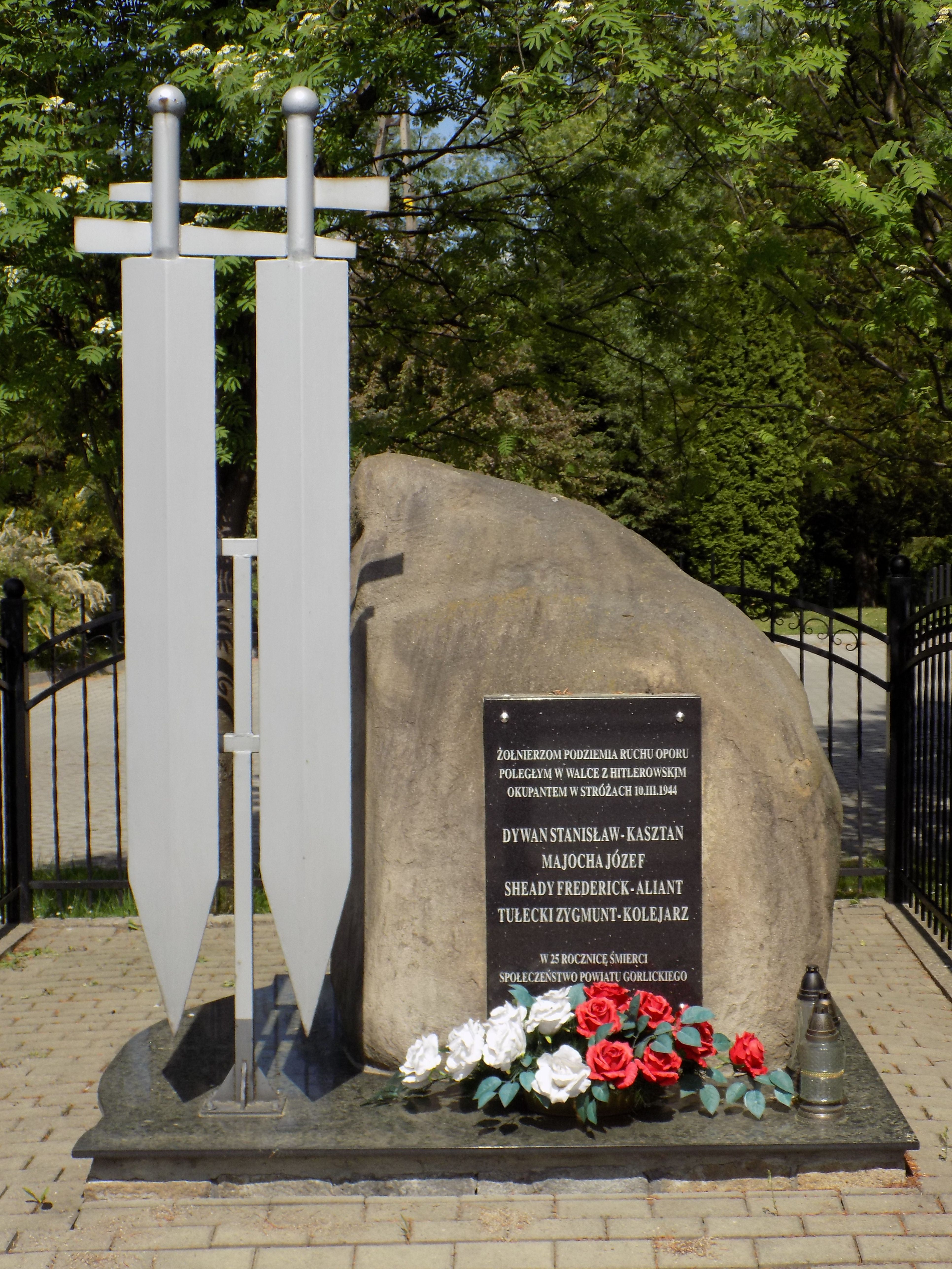 ( fot. ANDRZEJ PIECUCH)