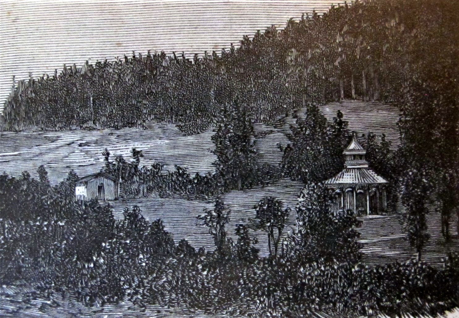 Pierwsza krynicka pijalnia przeniesiona do Parku Słotwińskiego w 1863r. ( fot. ze zbiorów Muzeum Regionalnego Państwa Muszyńskiego)