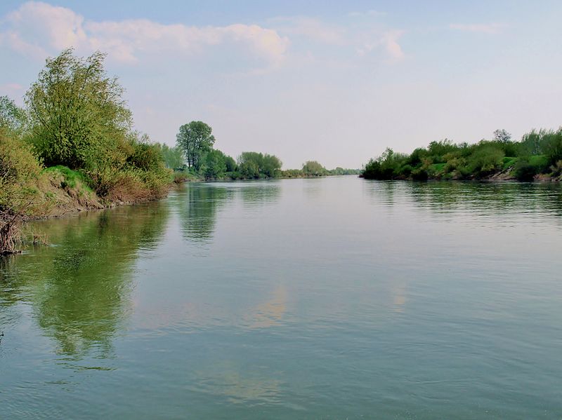 Dunajec koło Sikorzyc (fot. Henryk Żychowski/Wikipedia)