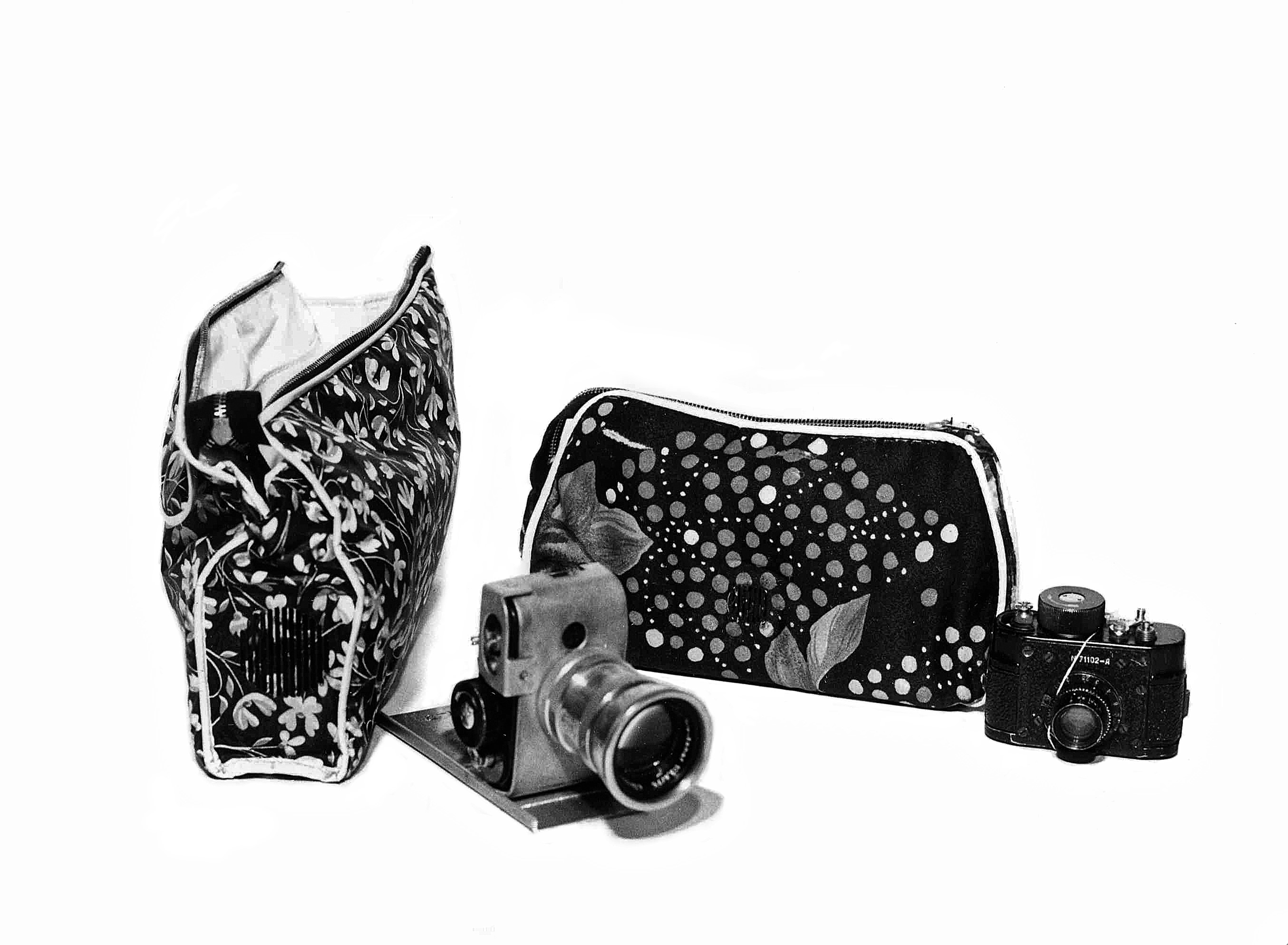 Aparaty Robot i Ajax w kamuflażu Kama w kosmetyczkach /AIPN