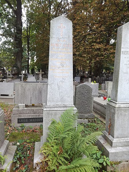 (fot.Kordiann/Wikipedia)