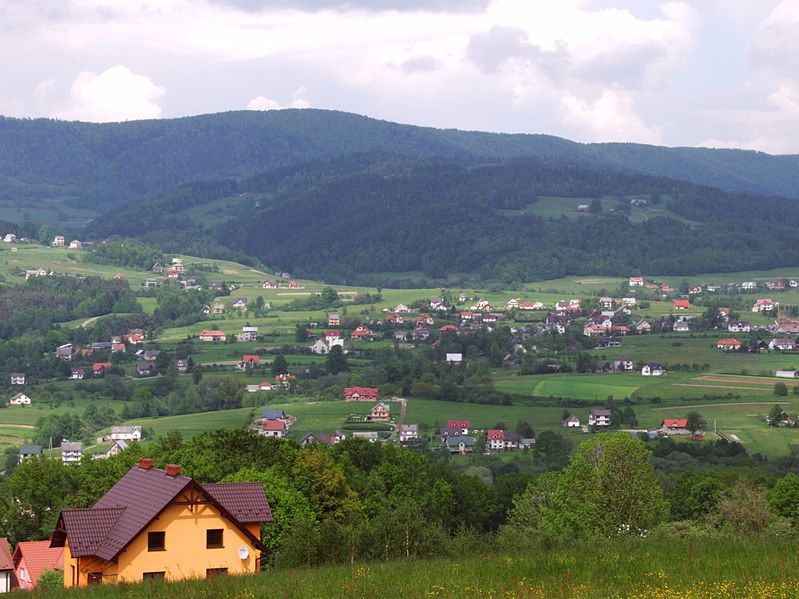 (fot. Jerzy Opioła/Wikipedia)