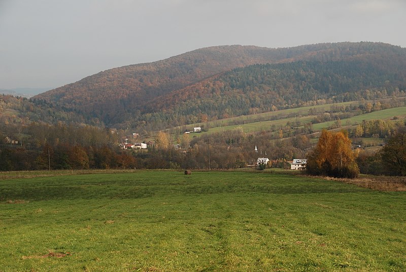 BIELANKA - widok na wieś z południa (fot. Henryk Bielamowicz)