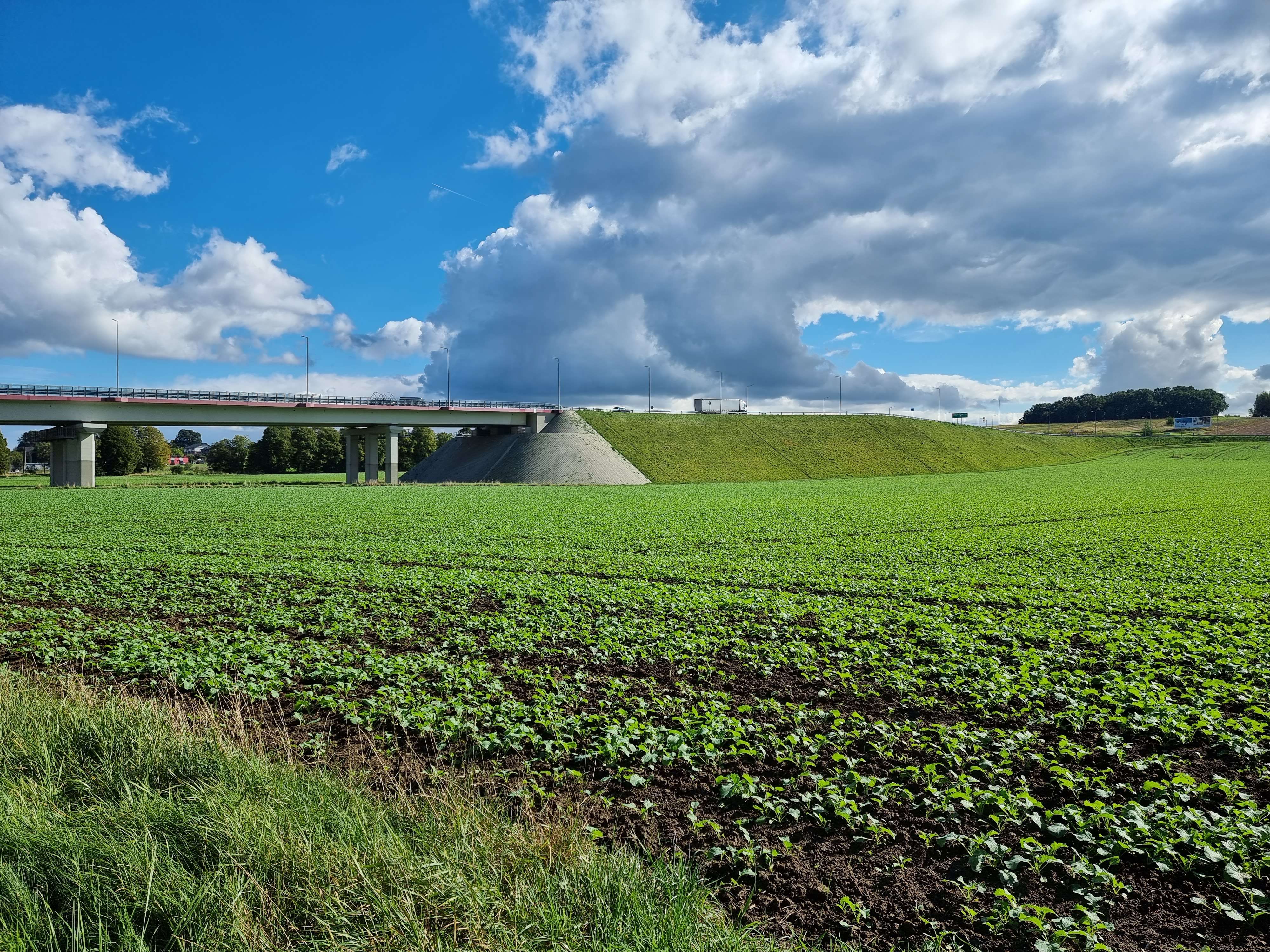 Fot. mat. prasowe GDDKiA