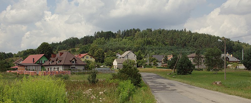 Krzywopłoty (fot. Przykuta/Wikipedia)