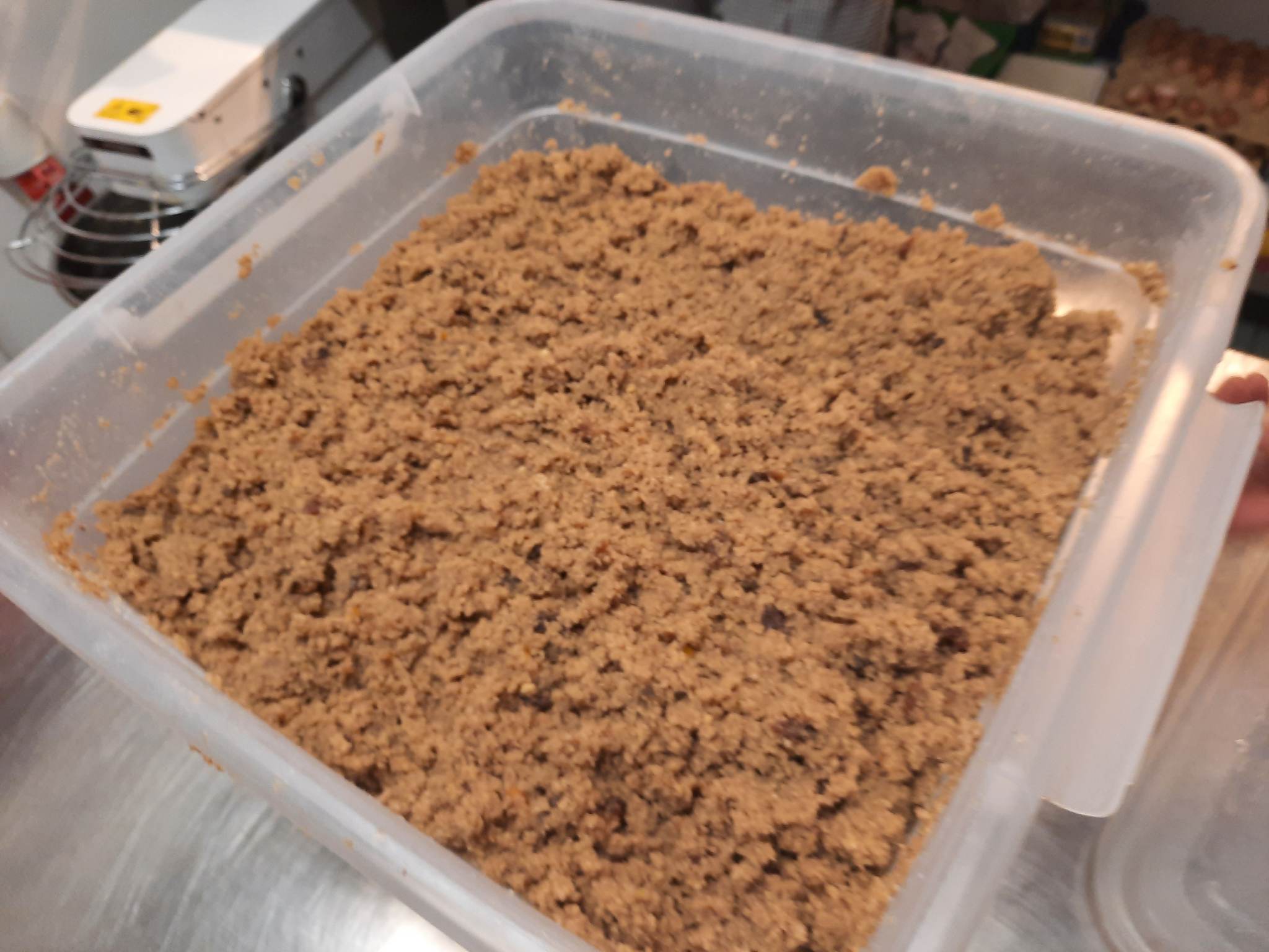 fot: Katarzyna Jabłońska