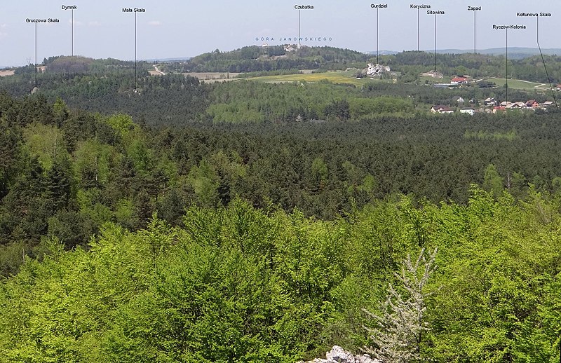 Widok z Wielkiego Grochowca na Górę Janowskiego (Zamkową) - fot. Jerzy Opioła/Wikipedia)