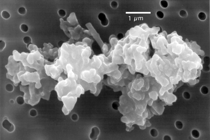 Porowaty chondryt – drobina pyłu międzyplanetarnego (fot.Amara/Wikipedia)
