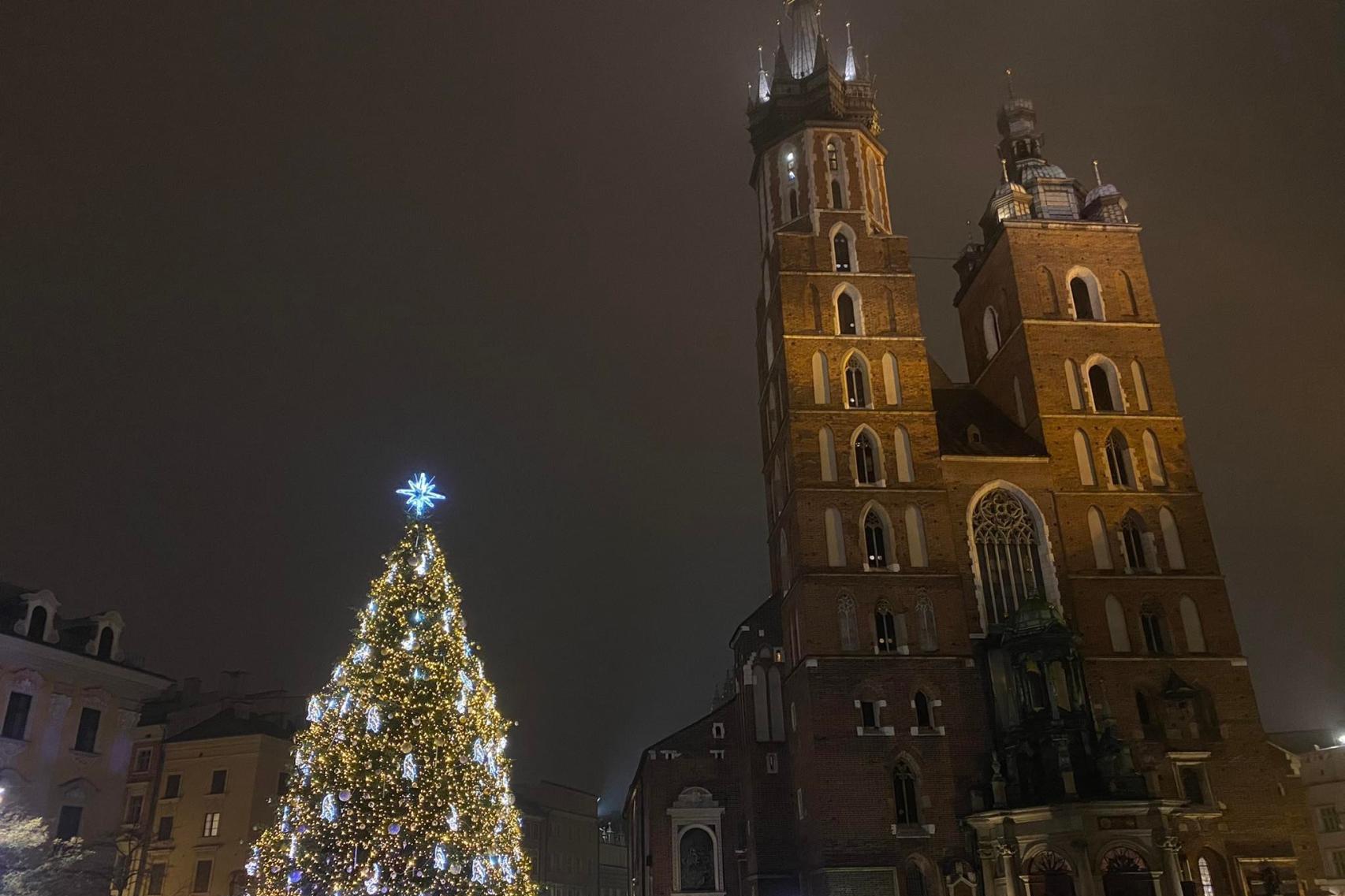 Kraków energooszczędna choinka na Rynku Głównym