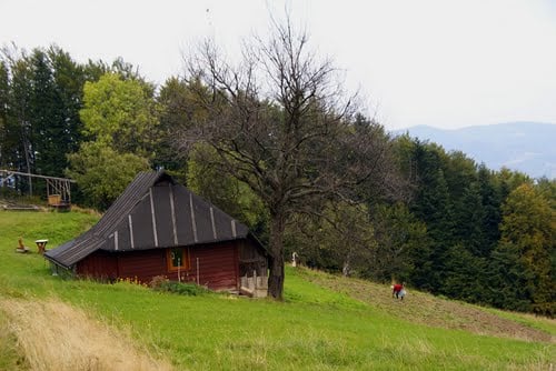 Polana Poczekaj - chata Babci Nowakowej 