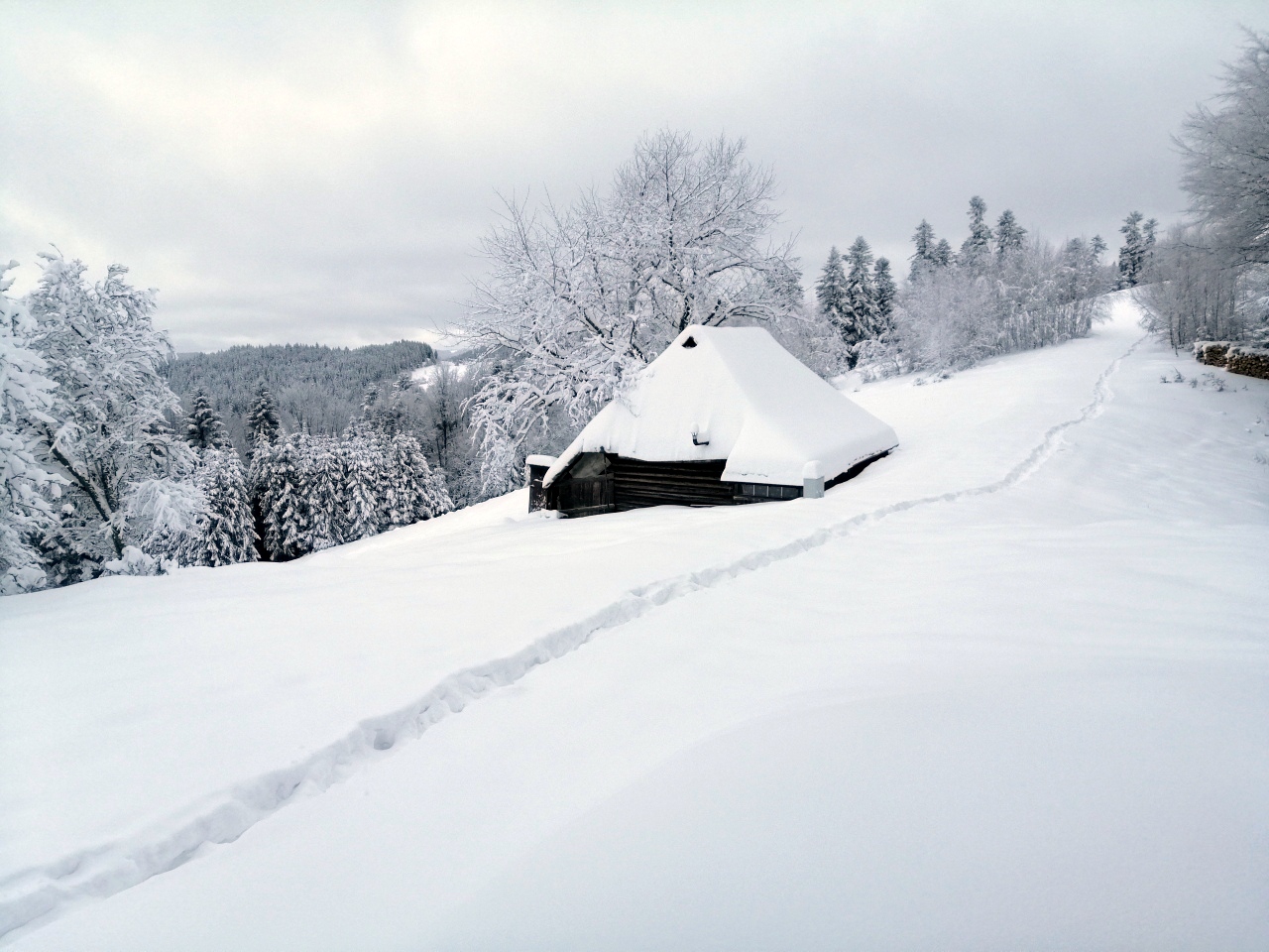 Polana Poczekaj w sobotę 21.01.2023 r.  fot. JAKUB BIAŁKA