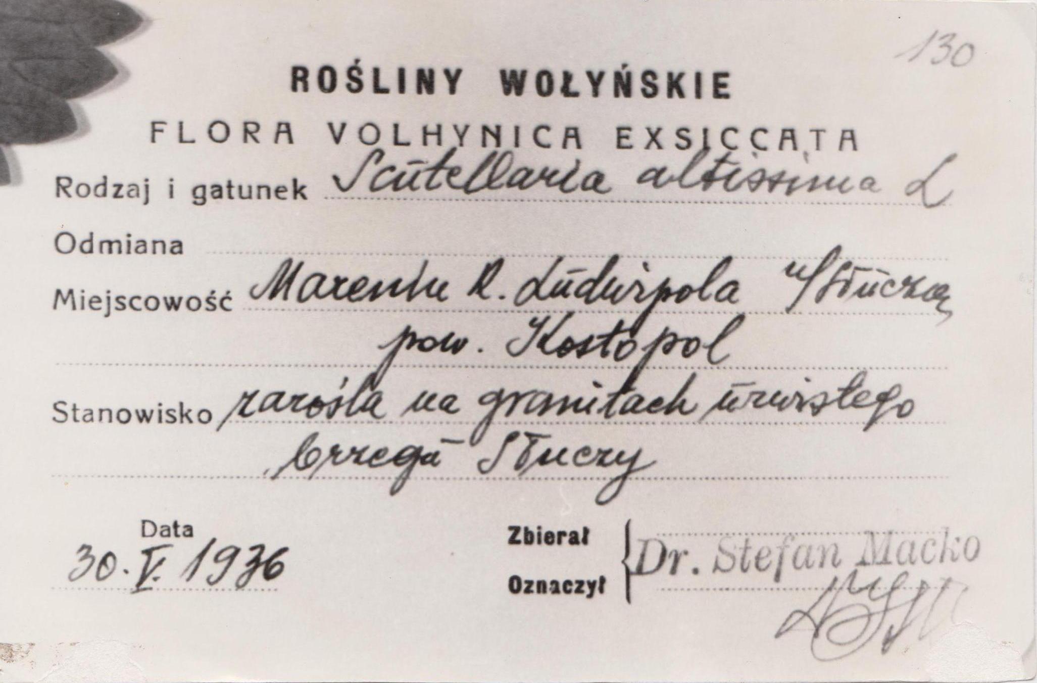 (fot. Ludmiła Łanszyna/Monitor Wołyński)