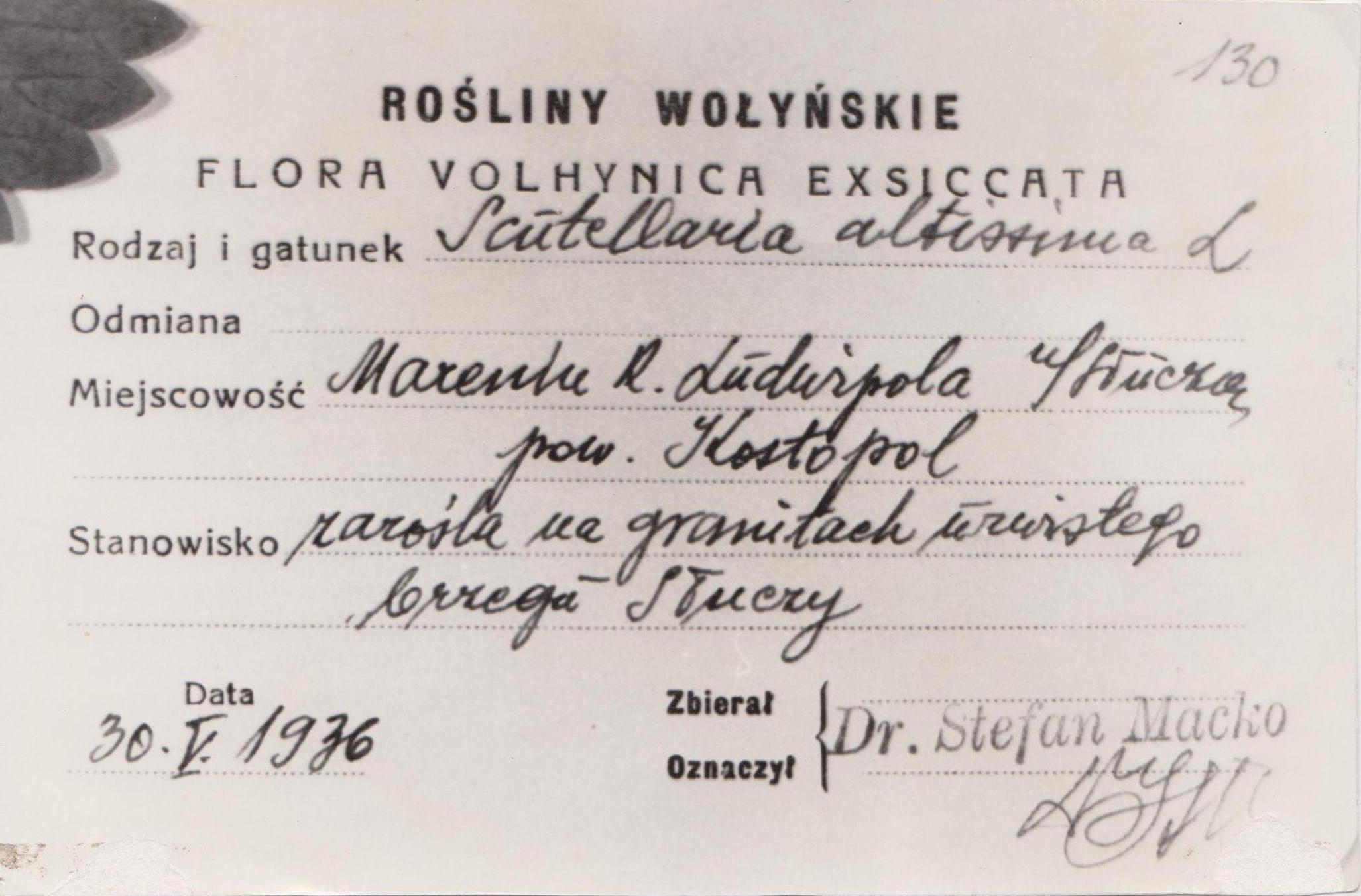 (fot. Ludmiła Łanszyna