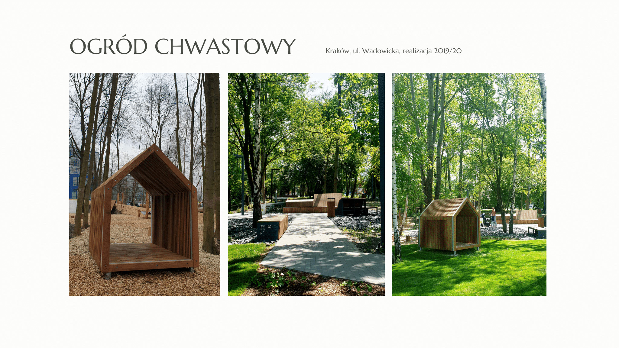 Ogród chwastowy przy ul. Wadowickiej w Krakowie