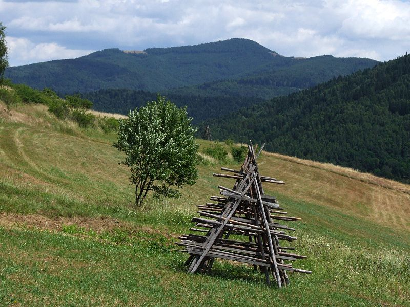 Mogielica (fot. Jerzy Opioła)