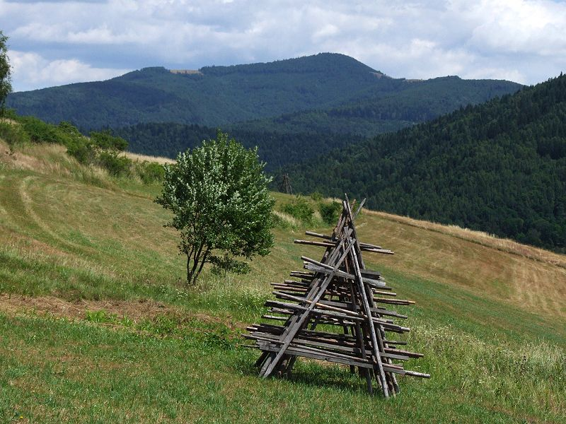 Mogielica  (fot. Jerzy Opioła)