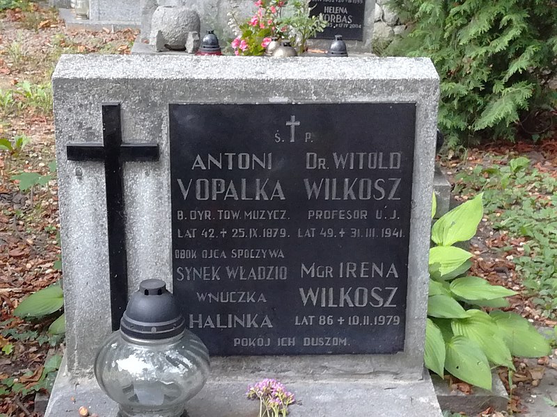 Cmentarz Rakowicki w Krakowie (fot.Kordiann/Wikipedia)