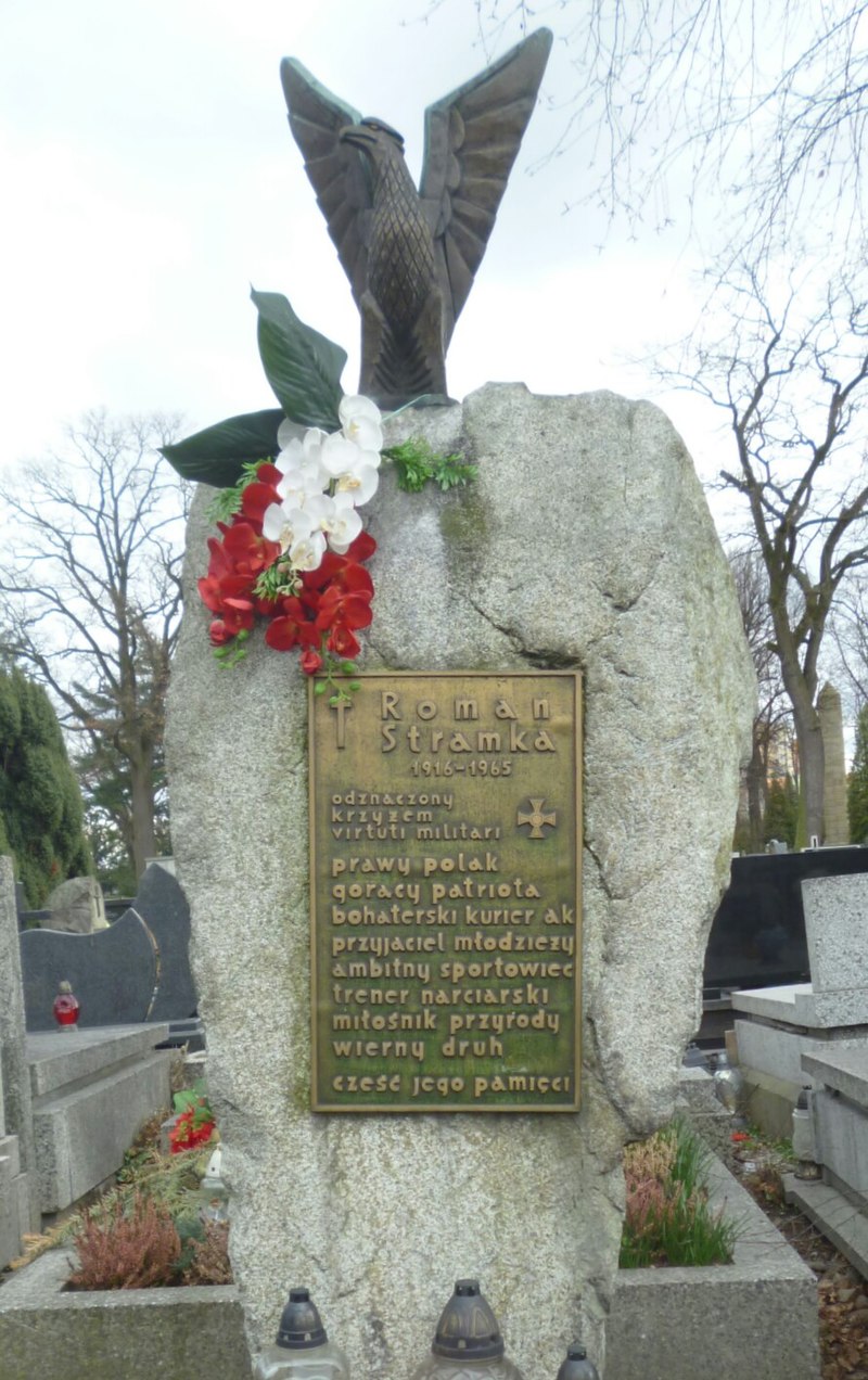 Autorstwa Zalasem1 - Praca własna, CC BY-SA 4.0, https://commons.wikimedia.org/w/index.php?curid=77335461