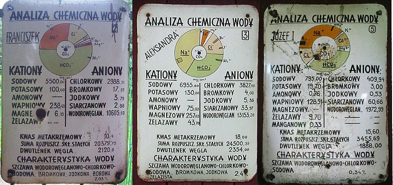 Wysowa - wody mineralne (fot.Tomasz Kuran/Wikipedia)