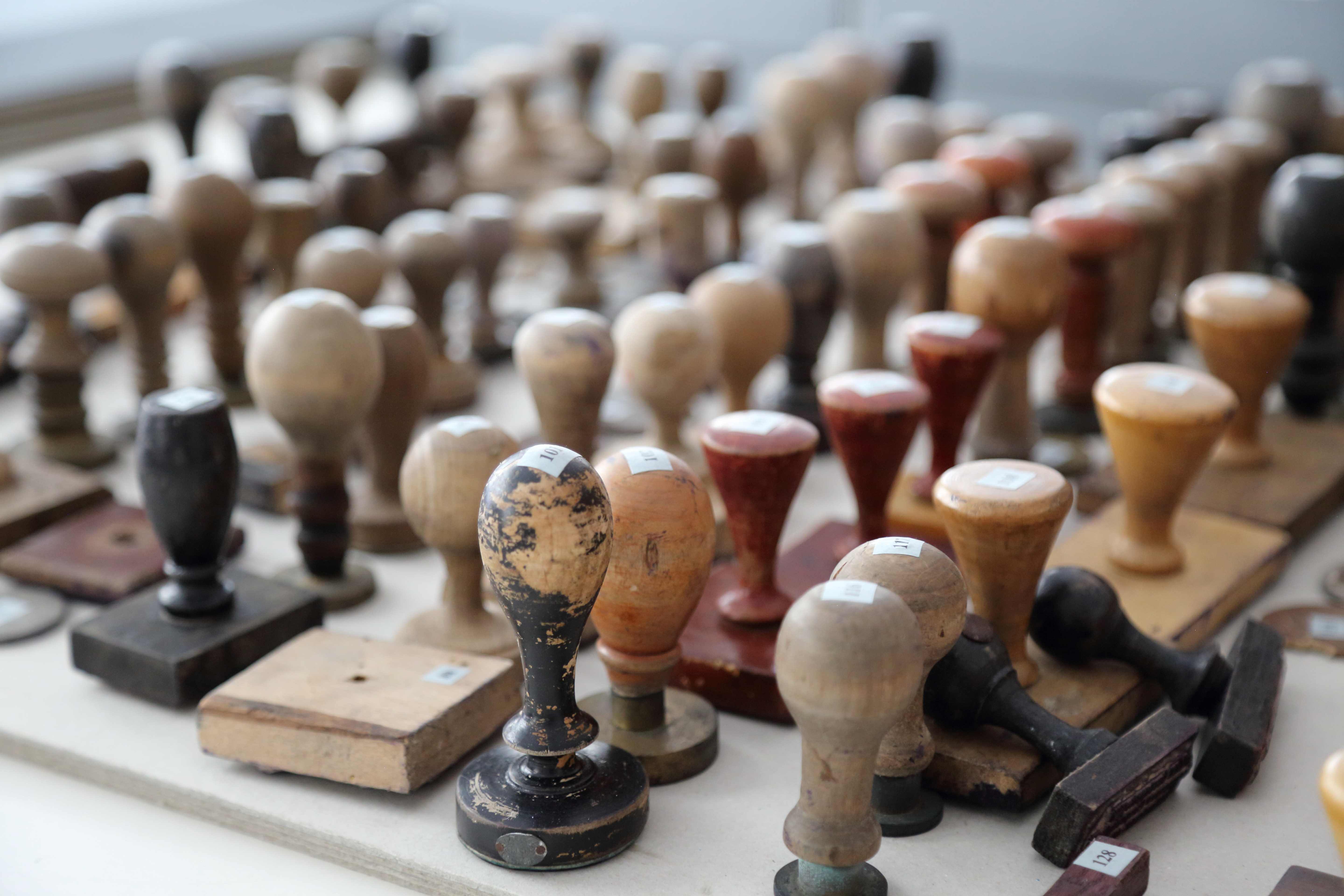 Fot. Małgorzata Multarzyńska-Janikowska