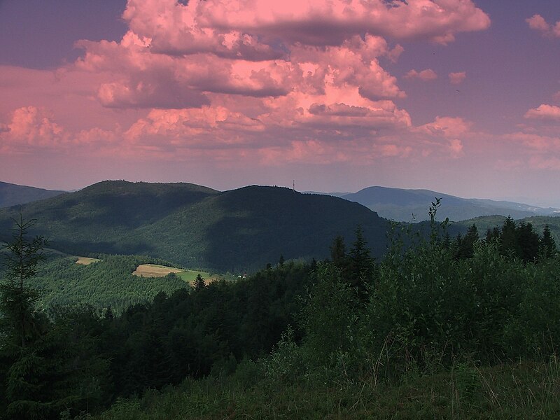 Kiczora Kamienicka i Wielki Wierch - widok z Jaworzynki (fot. Paweł Opioła/Wikipedia)