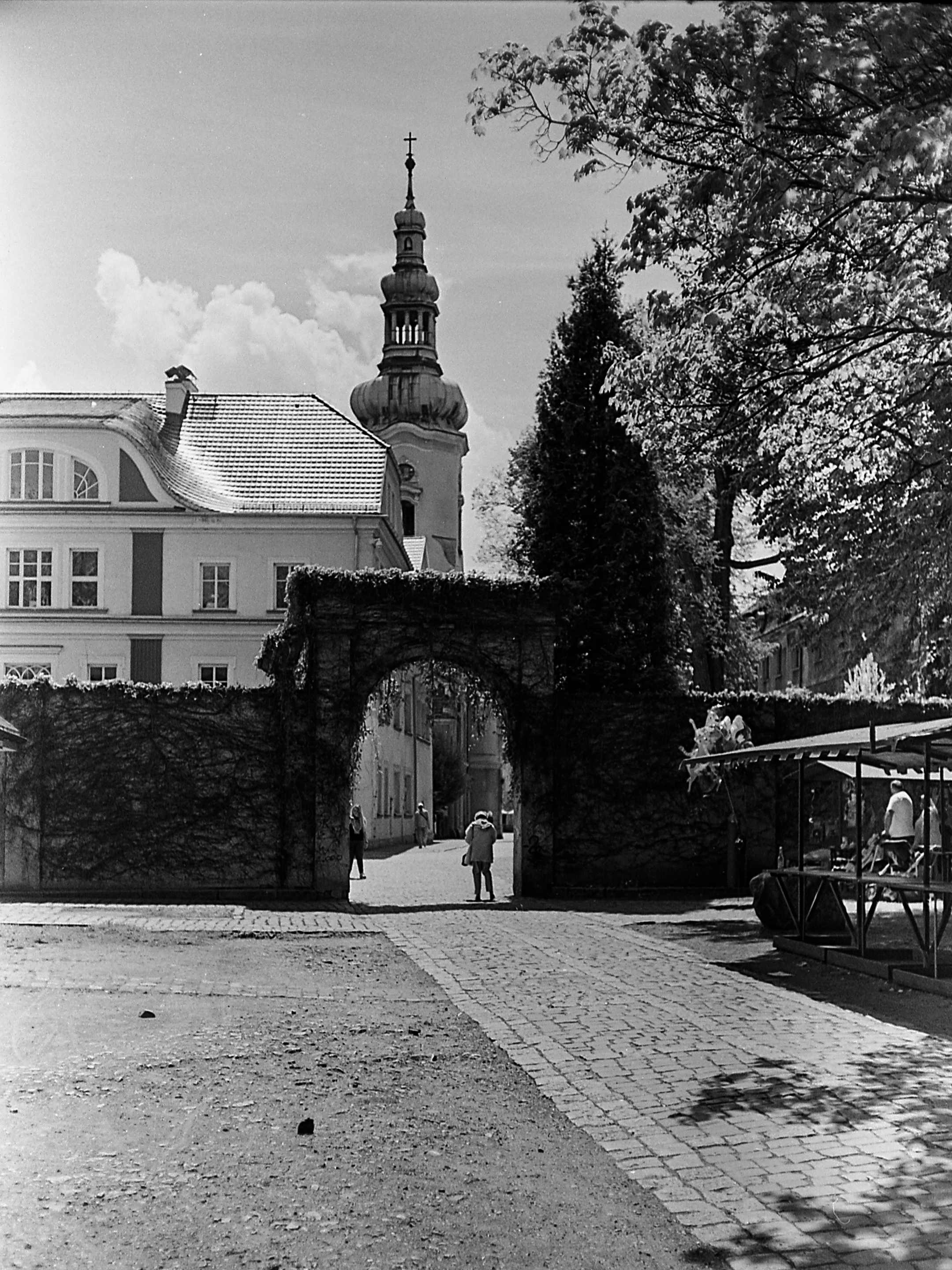 Pszczyna (fot. T. Szygulski)