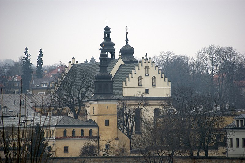 (fot. Zygmunt Put/Wikipedia)