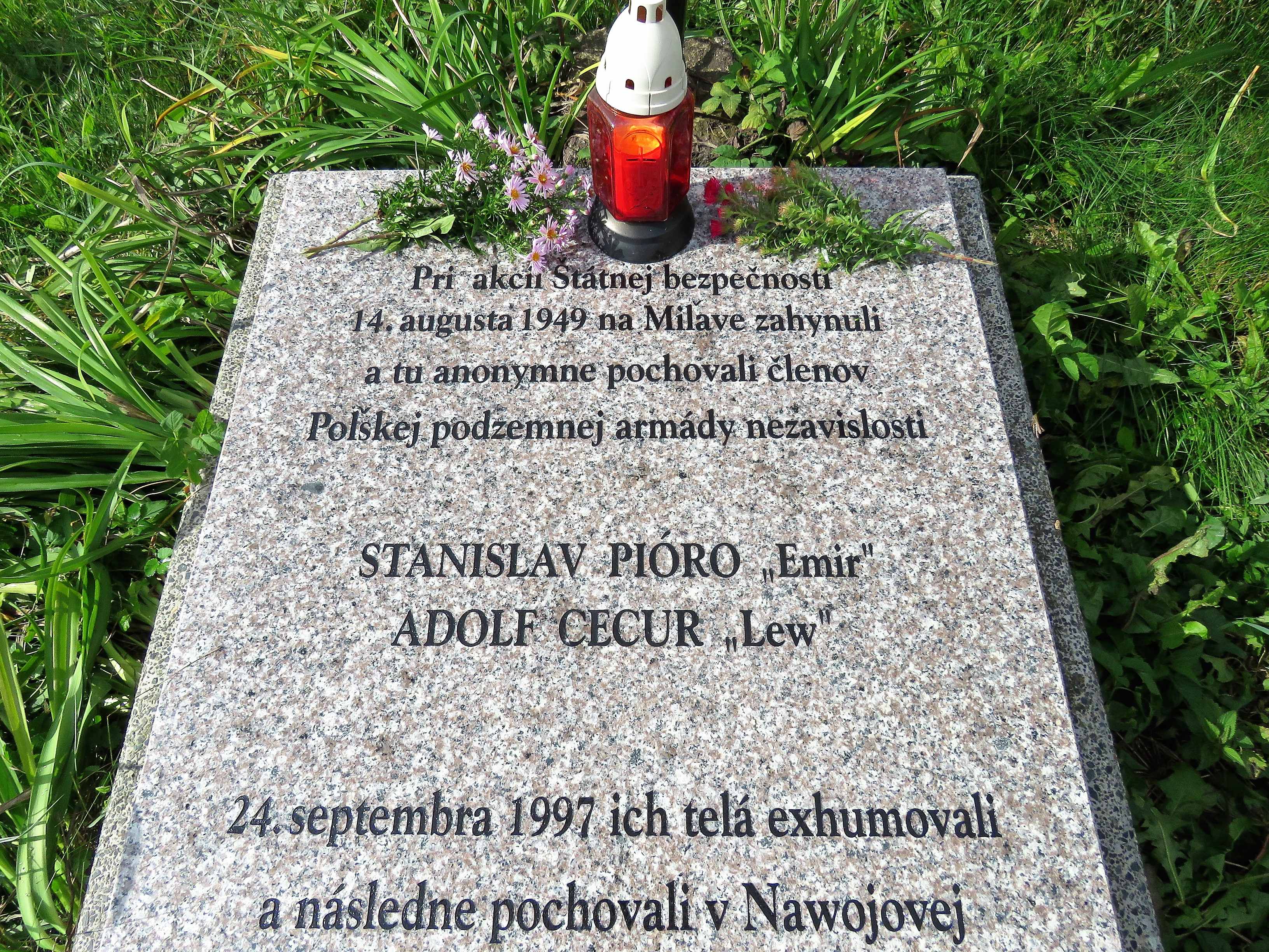 Tablica na miejscu grobu na cmentarzu w Forbasach ufundowana staraniem ks. Petera Olekśaka w 25-lecie ekshumacji (fot. L. Ogórcak)