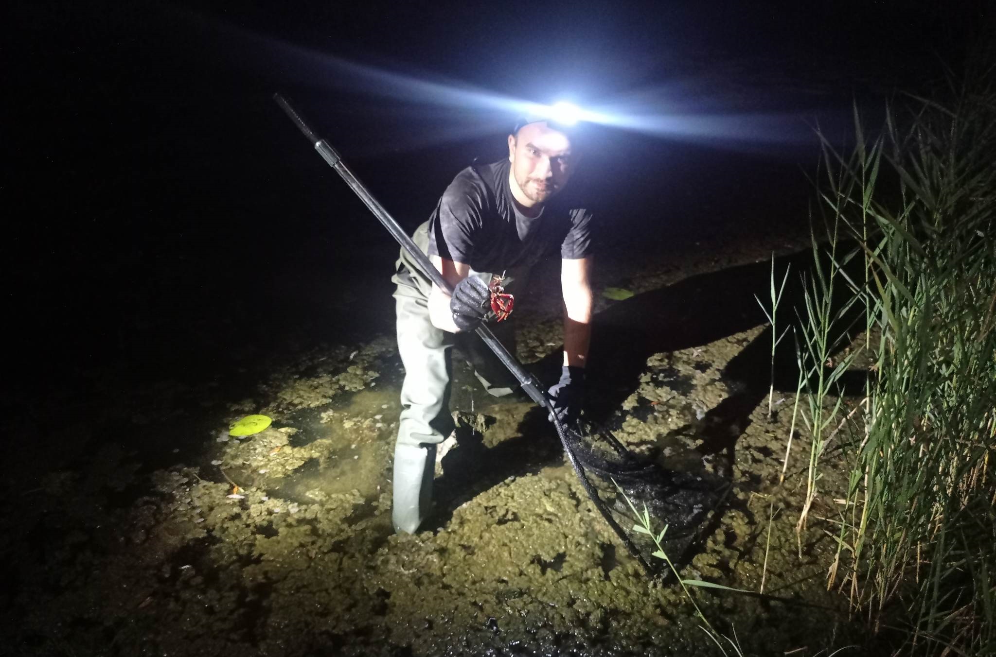 Fot. Paulina Guzowska