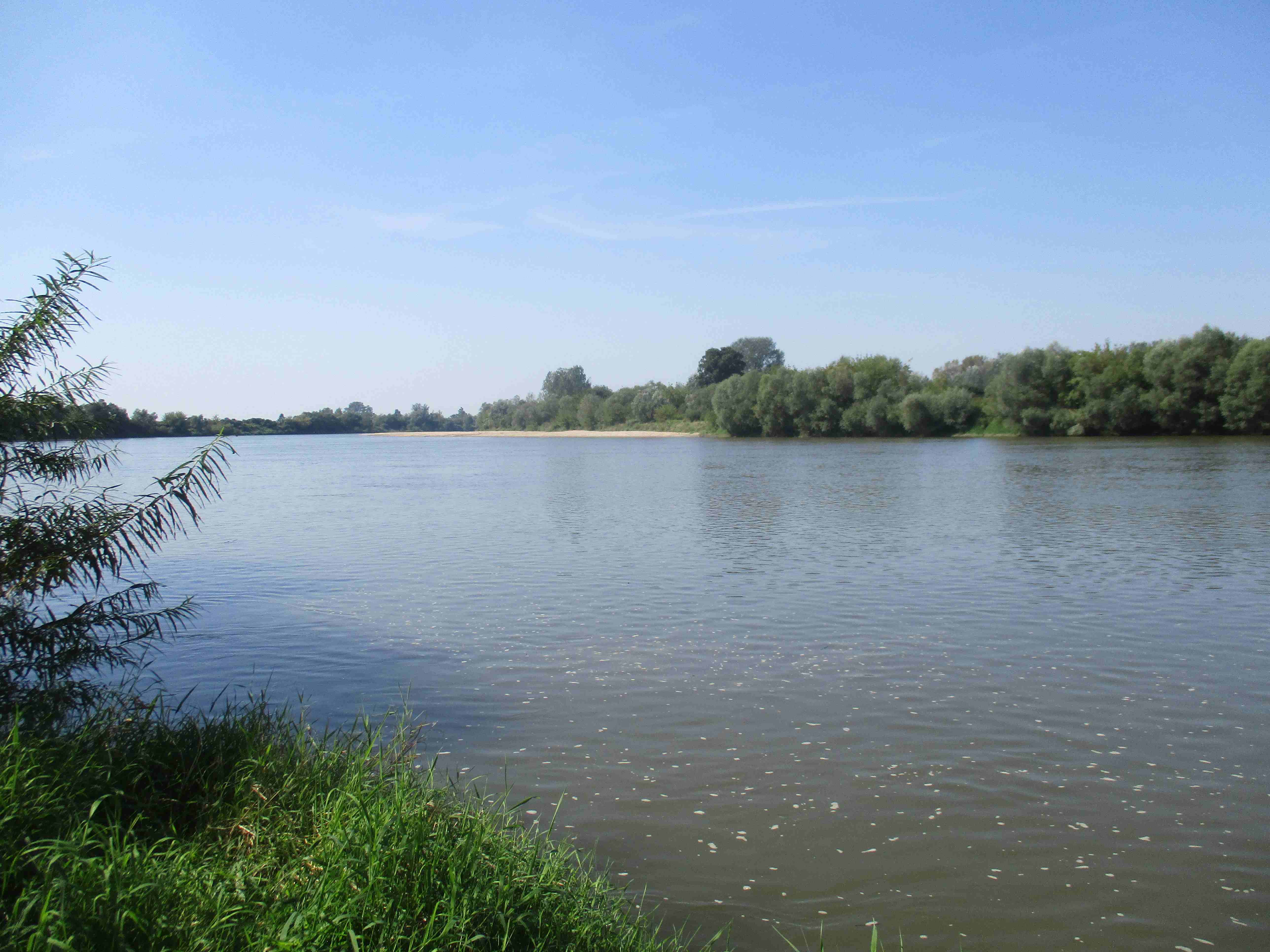 Wisła w Słupcu